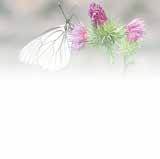 78电玩游戏大厅