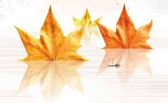 78电玩游戏大厅