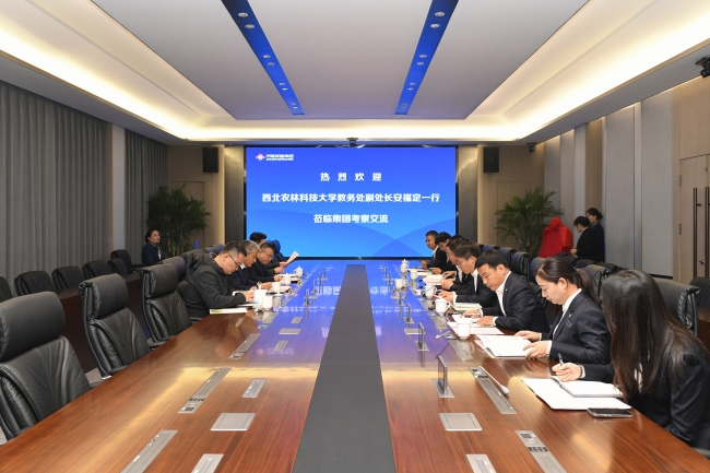 78电玩游戏大厅