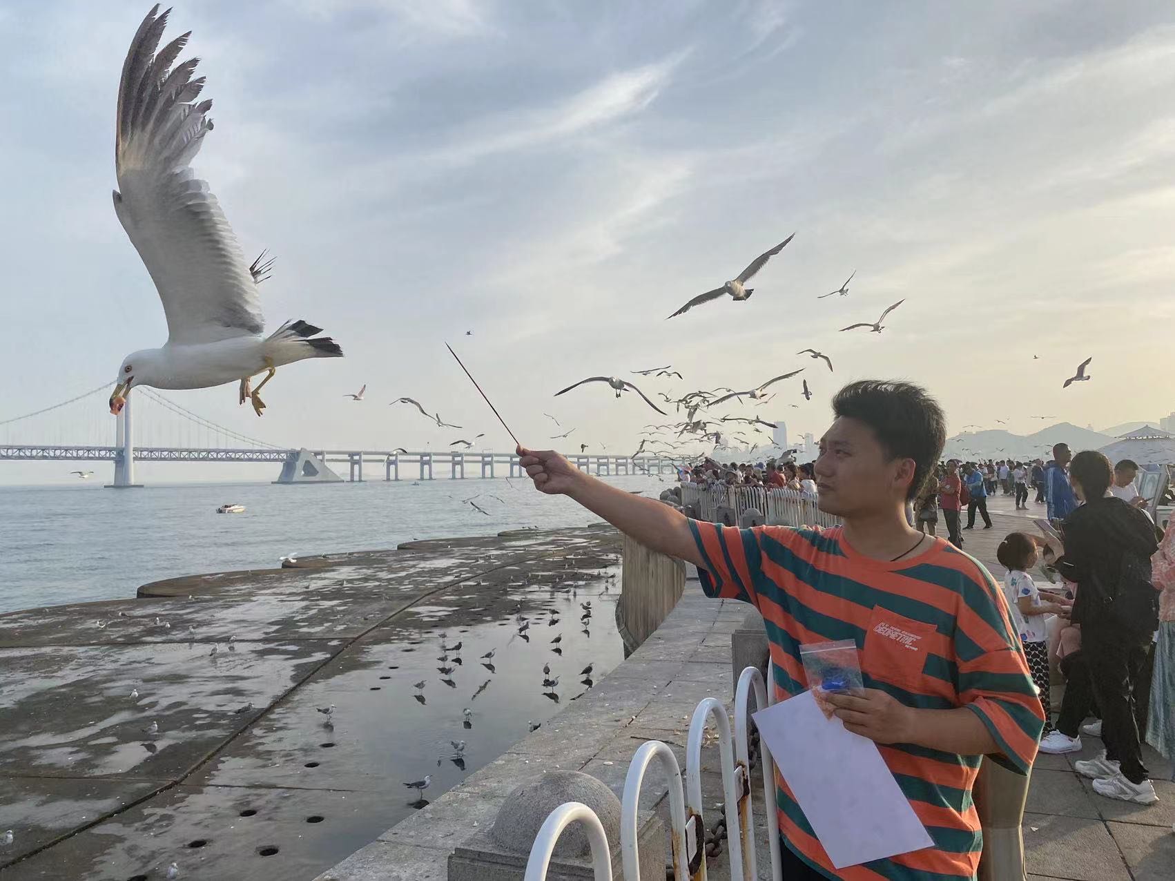 78电玩游戏大厅