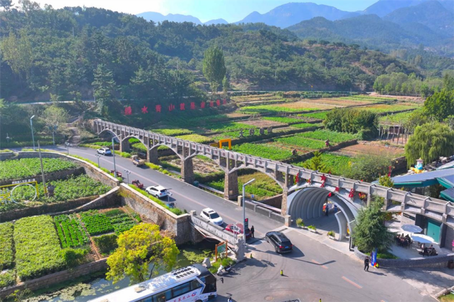 78电玩游戏大厅