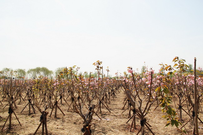 78电玩游戏大厅